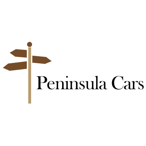 Logo icon