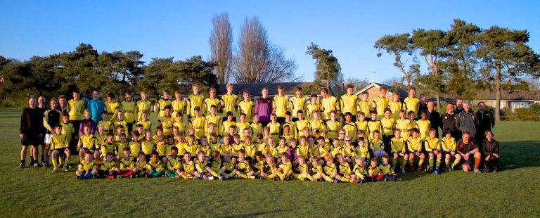 13735793 1597421193888786 8274222171645537863 o 768x310